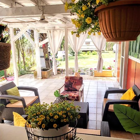 Meny's Azure Escape *